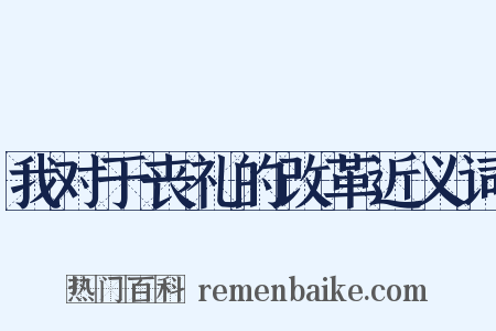 我对于丧礼的改革近义词是什么意思的图片